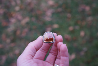 Scenic Ring- Size 9.25