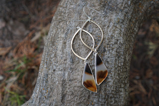 Venus Earrings- Montana Agate
