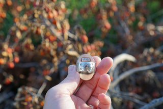 Gemini Ring- Apatite-Size 7.75