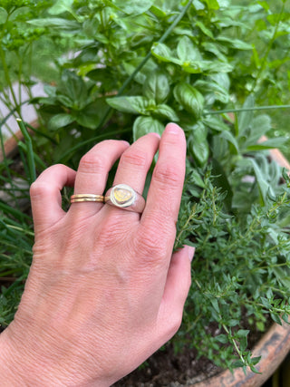 Round Signet- Opal Size 8.25