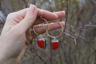 Plain Jane Hoops- Rosarita