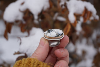 Latitude Ring- White Buffalo Size 5.25