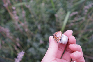 Bellatrix Ring- Agate Size 9