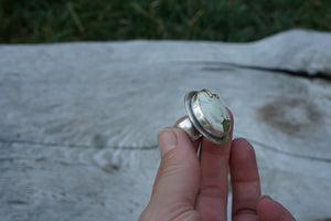 Talon Ring- Size 6