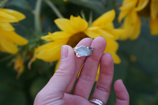 Companions Ring Set- Aquamarine Size 5.5