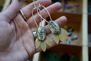 Balsamroot Earrings- New Lander