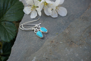 The Little Things Earrings- Sleeping Beauty