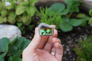 Countryside Ring- 8