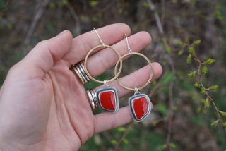 Plain Jane Hoops- Rosarita