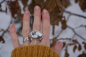 Latitude Ring- White Buffalo Size 5.25