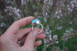 Northern Skies Ring 8