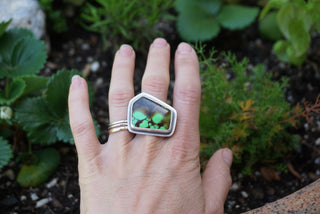 Countryside Ring- 8