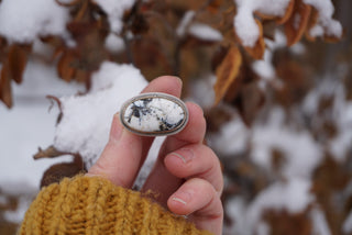 Latitude Ring- White Buffalo Size 5.25