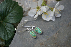 The Little Things Earrings- Sonoran Gold