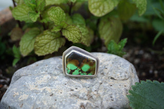 Countryside Ring- 8