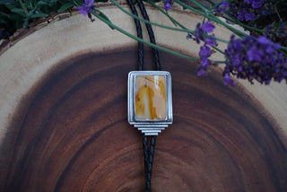 Lariat Bolo- Jasper