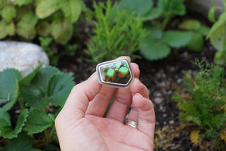 Countryside Ring- 8