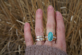 Companions Ring Set- Turquoise Size 10