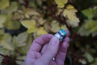 Bellatrix Ring- Turquoise Size 5.5
